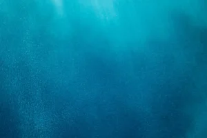 janek-valdsalu-pzkzGb9WrrY-unsplash